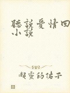 听说爱情回来过小说