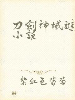 刀剑神域进击篇小说