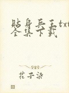 贴身兵王txt全集下载