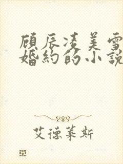 顾辰凌美雪五份婚约的小说名字叫什么