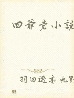 四爷党小说