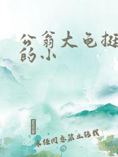 公翁大龟挺进我的小
