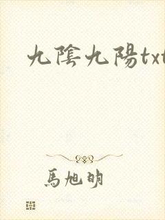 九阴九阳txt