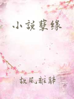 小说孽缘