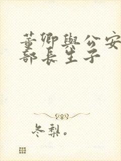 董卿与公安部副部长生子