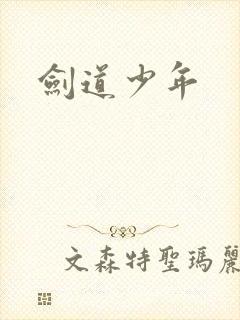 剑道少年