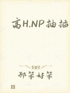 高H.NP抽插