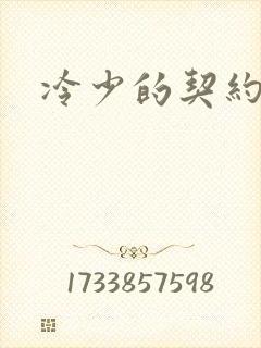 冷少的契约囚奴