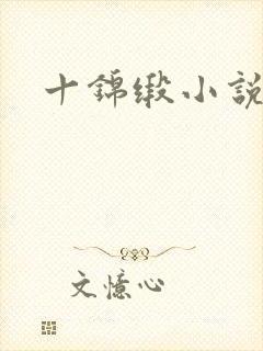 十锦缎小说