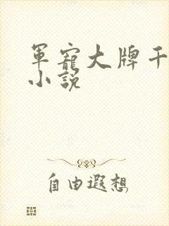 军宠大牌千金 小说