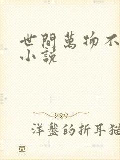 世间万物不及你小说