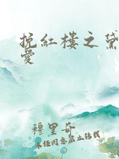 挽红楼之黛玉绝爱