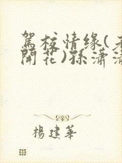 驾校情缘(老树开花)孙潇潇笔趣阁