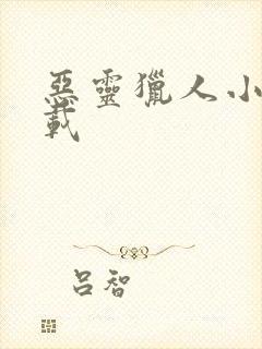 恶灵猎人小说下载