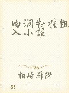 肉洞对准粗大坐入小说