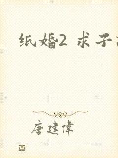 纸婚2 求子记