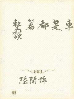 整篇都是车的小说