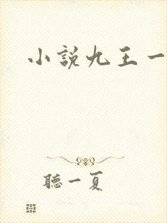 小说九王一后