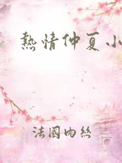 热情仲夏小说