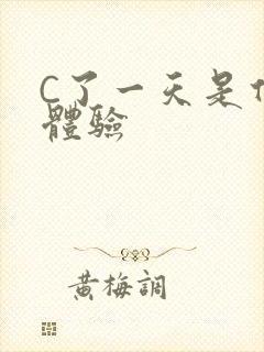 C了一天是什么体验