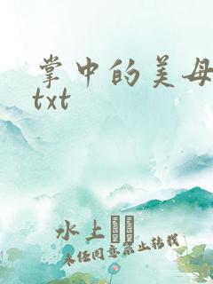 掌中的美母版主txt