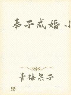 奉子成婚 小说