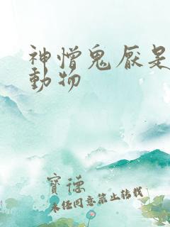 神憎鬼厌是什么动物