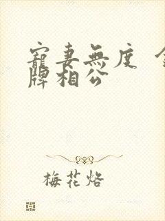 宠妻无度  金牌相公