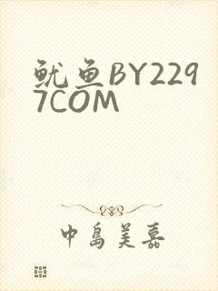 鱿鱼BY2297COM