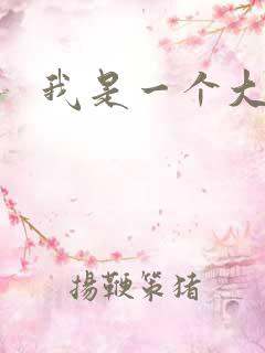 我是一个大盗贼