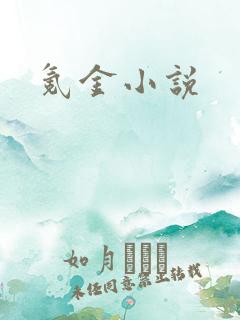 氪金小说