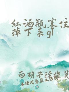 红酒瓶塞住不准掉下来gl