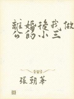 离婚后我做了老公的小三