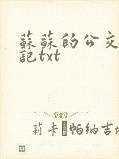 苏苏的公交车日记txt