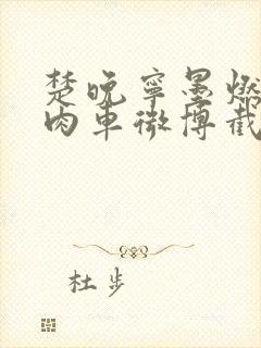 楚晚宁墨燃所有肉车微博截图