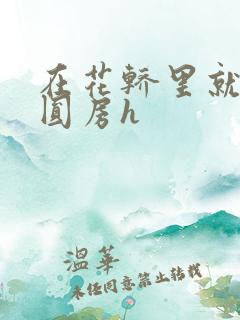 在花轿里就开始圆房h