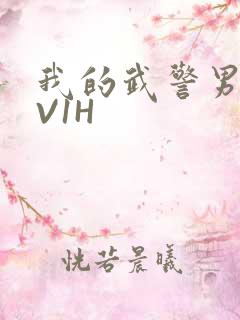 我的武警男友1V1H