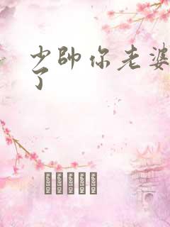 少帅你老婆又跑了