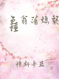 色翁荡熄系列借种