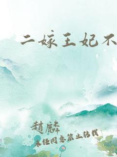 二嫁王妃不好惹