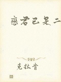 恋君已是二十年