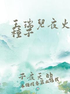 王瑞儿夜火全套种子