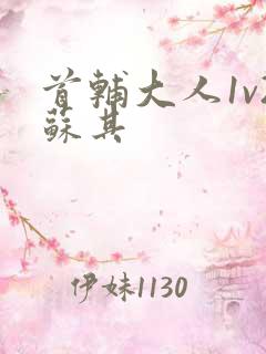 首辅大人1v2苏其