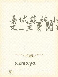 秦城苏婉小说全文_免费阅读最新