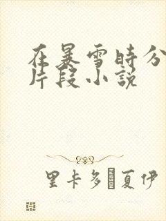 在暴雪时分高能片段小说