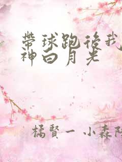 带球跑后我成男神白月光