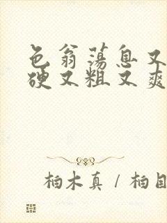 色翁荡息又大又硬又粗又爽小莹