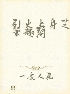 引火上身芝麻糖笔趣阁