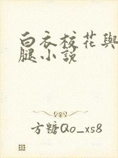 白衣校花与大长腿小说