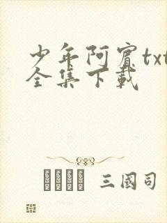少年阿宾txt全集下载